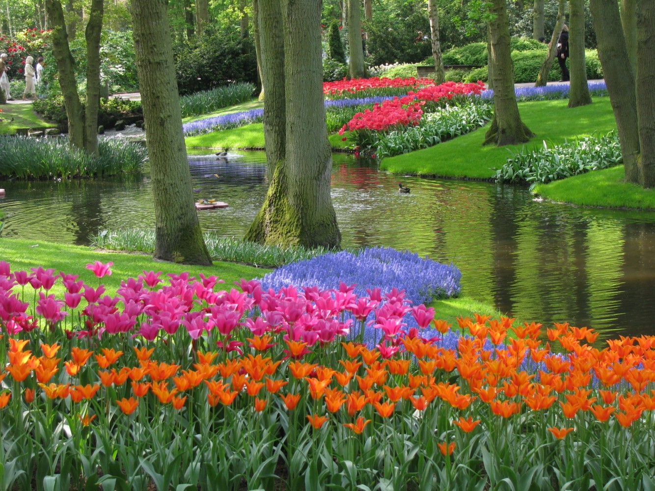 Keukenhof