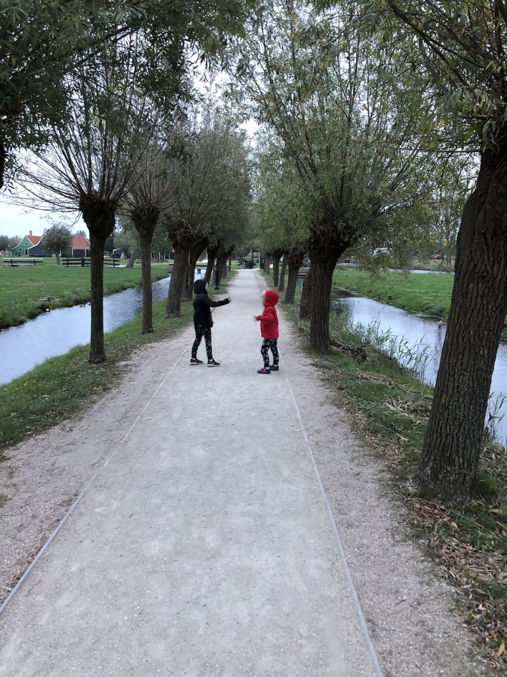 Vasica Zaanse Schans